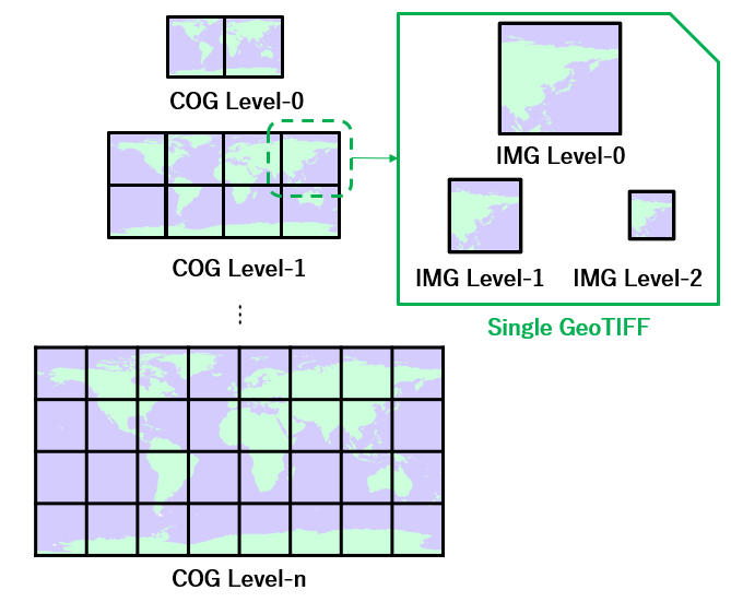 COG structure
